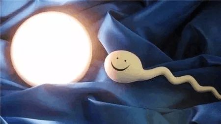 胚胎培养箱